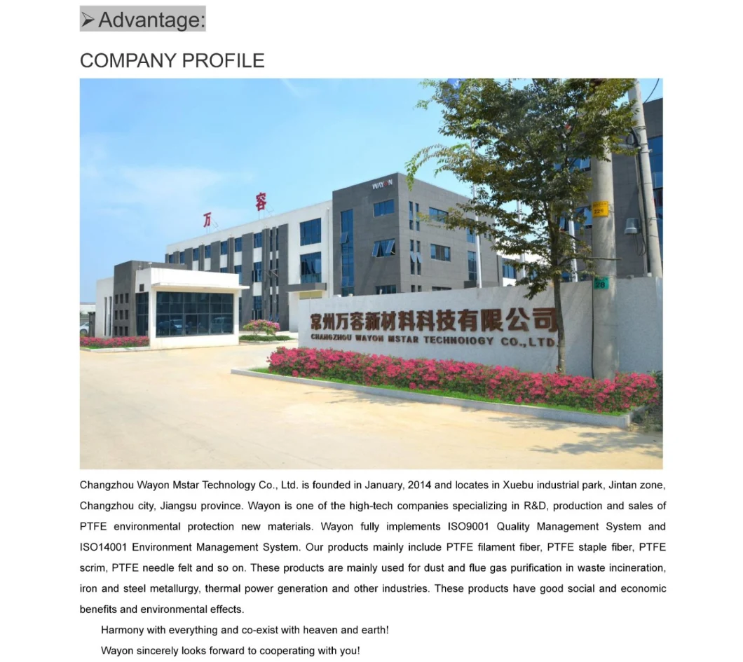 Industrial Dust Collecting System Use Polyester Nonwoven Filter Collector Bag