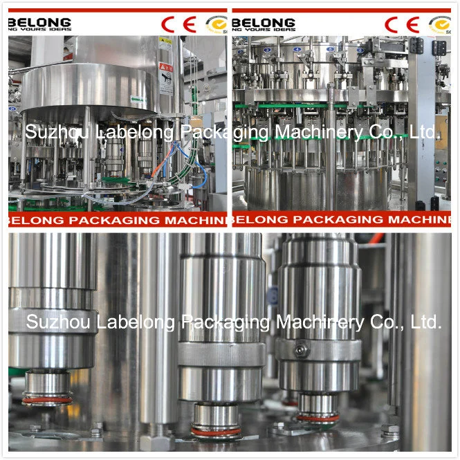 High-Tech Bottle Beer Making Machine/Beer Filling Machine for Glass Bottle