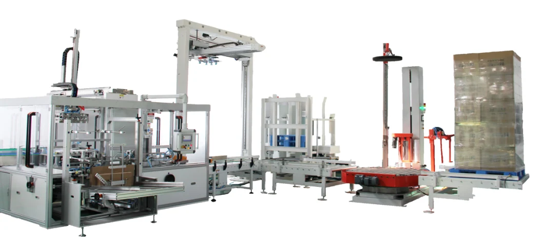 Automatic Top Loading Case Carton Box Packer Machine with Erecting and Sealer for Hair Skin Care