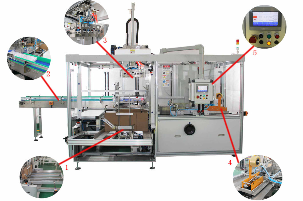 Automatic Box Case Carton Packer Machine for Dairy and Milk