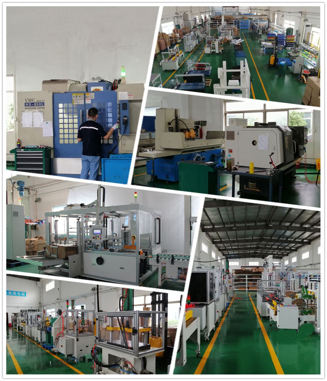 Automatic Box Case Carton Packer Machine for Dairy and Milk