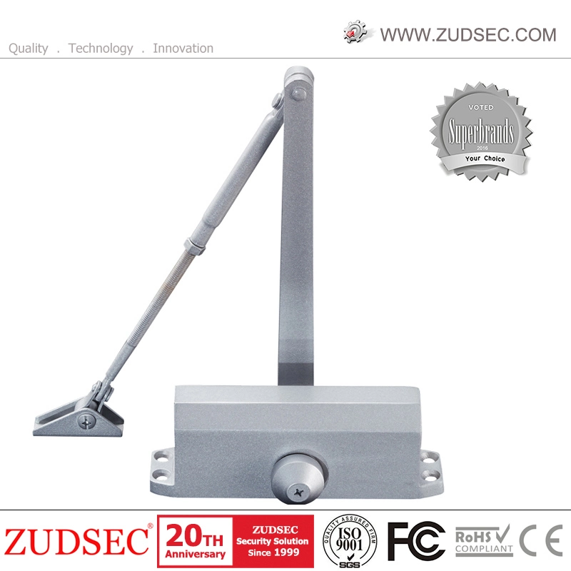 Automatic Spring Electric Grade Adjustable Hydraulic Cold Test Door Closer