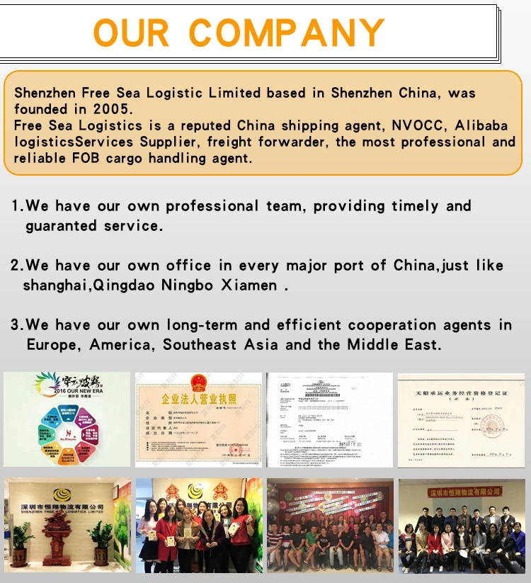 Sea Freight Forwarder China to USA United States Canada Amazon Fba Door to Door Logistics Company