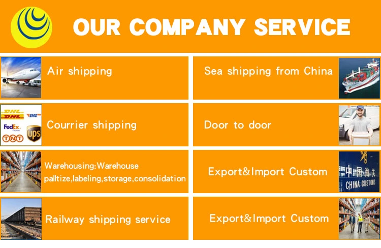 Sea Freight Forwarder China to USA United States Canada Amazon Fba Door to Door Logistics Company