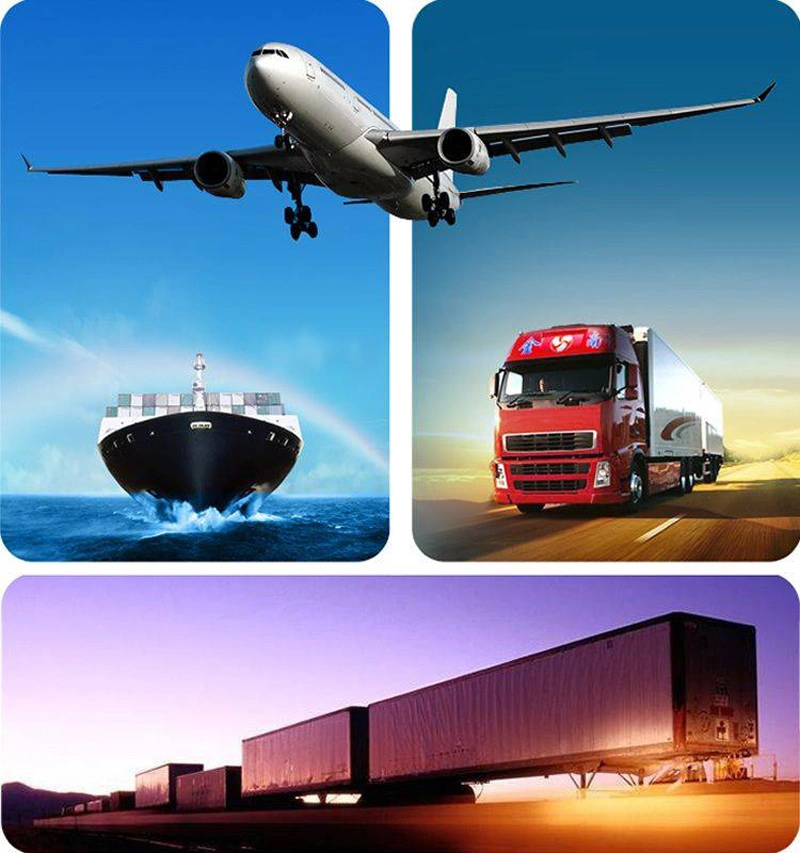 Logistics Company From China to Us Amazon Warehouse DDP Door to Door Fullfillment