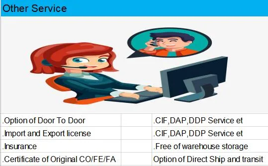 China to USA Freight Forwarding Door to Door Service Air Cargo Shipping Company