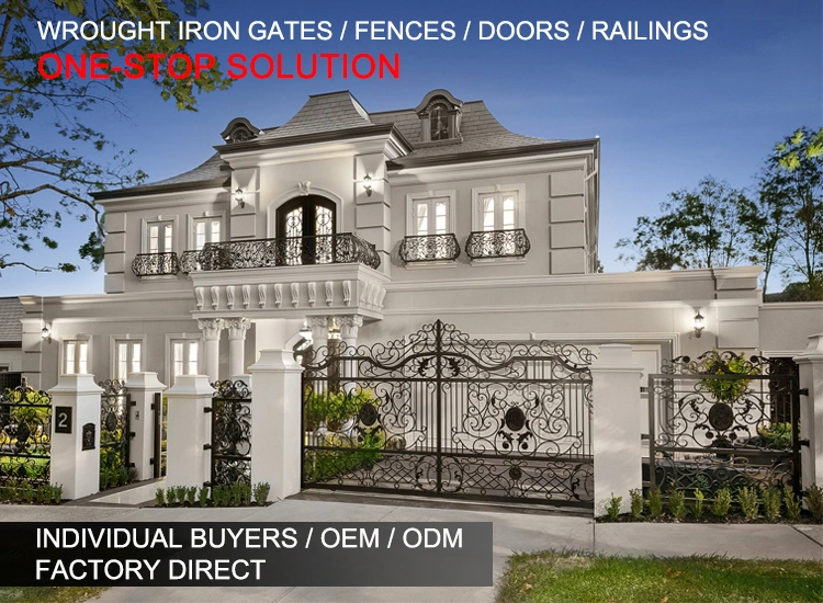 Hot Galvanized Main Entrance Door Wrought Iron Entry Door Double Door with Transom