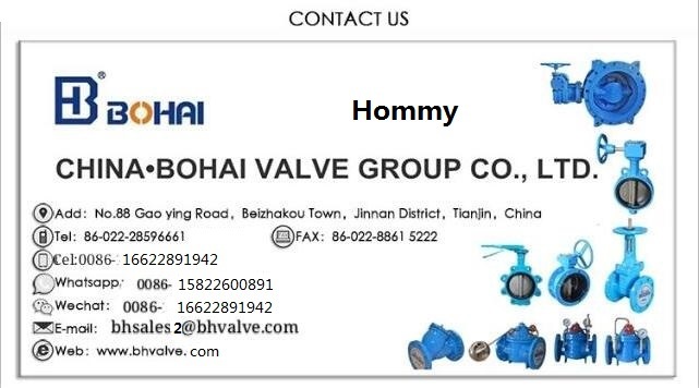 Ductile Cast Iron Wafer Lugged Type Control Butterfly Valve