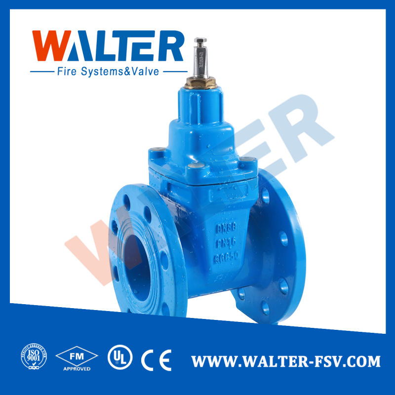 Pn10 Pn16 Hand Wheel Resilient Seated Cast Iron Flanged Gate Valve