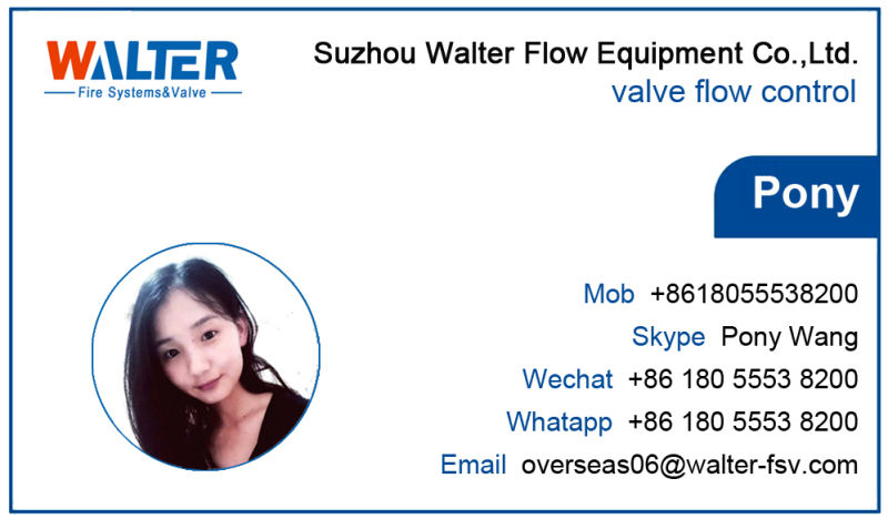 Ductile Iron Water Pipe 12 Inch Resilient Seated Valve Gate