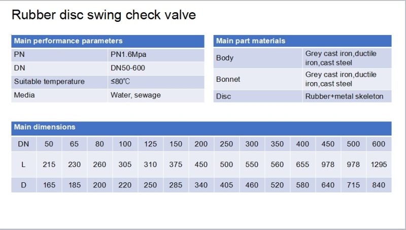 Ductile Iron Flanged Swing Check Valve