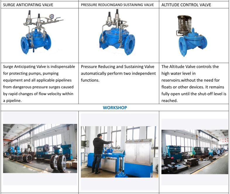 Leading Manufacturer of Industrial for Cast Iron Rubber Flap Check Valve