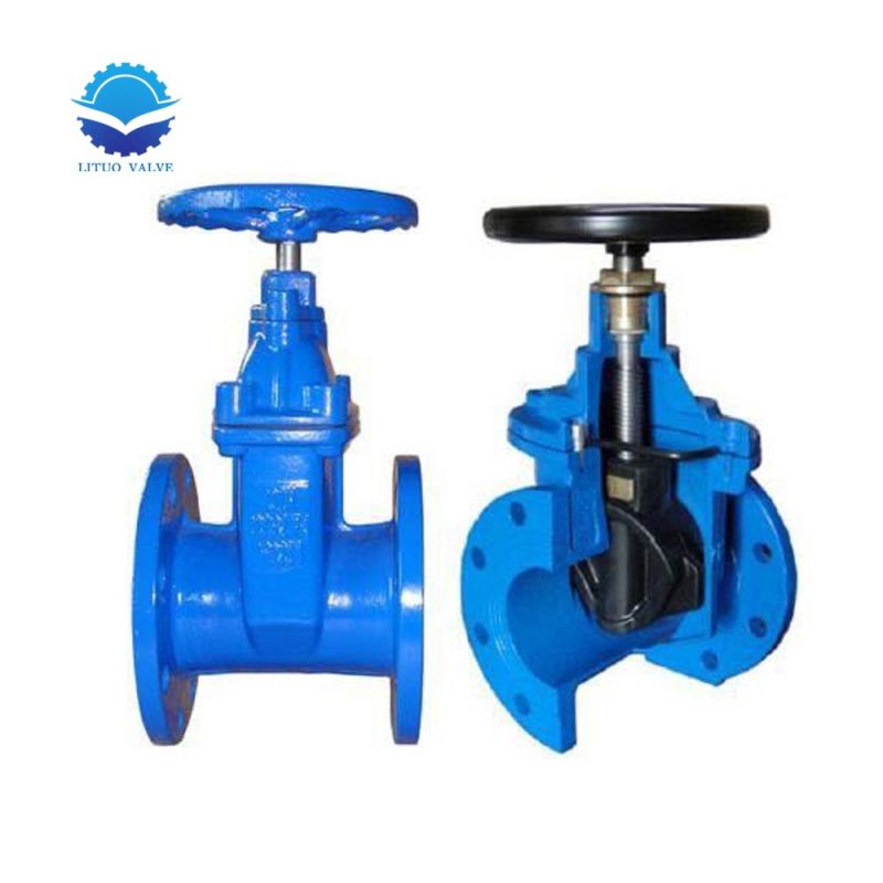 Manufacturers Ductile Iron Resilient Flanged Gate Valve