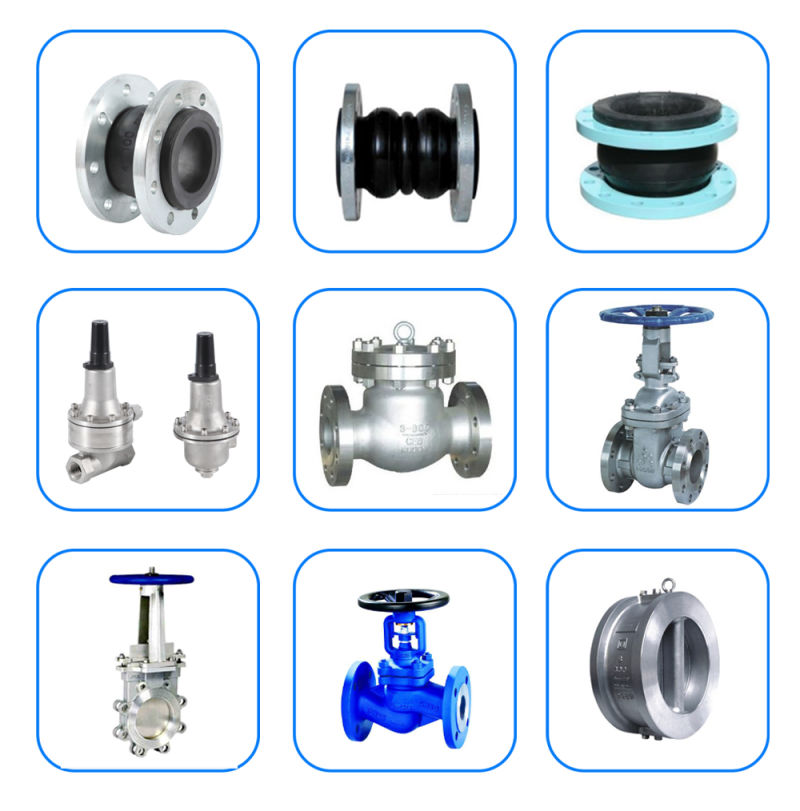 Cast Iron Flanged Silent Check Valve