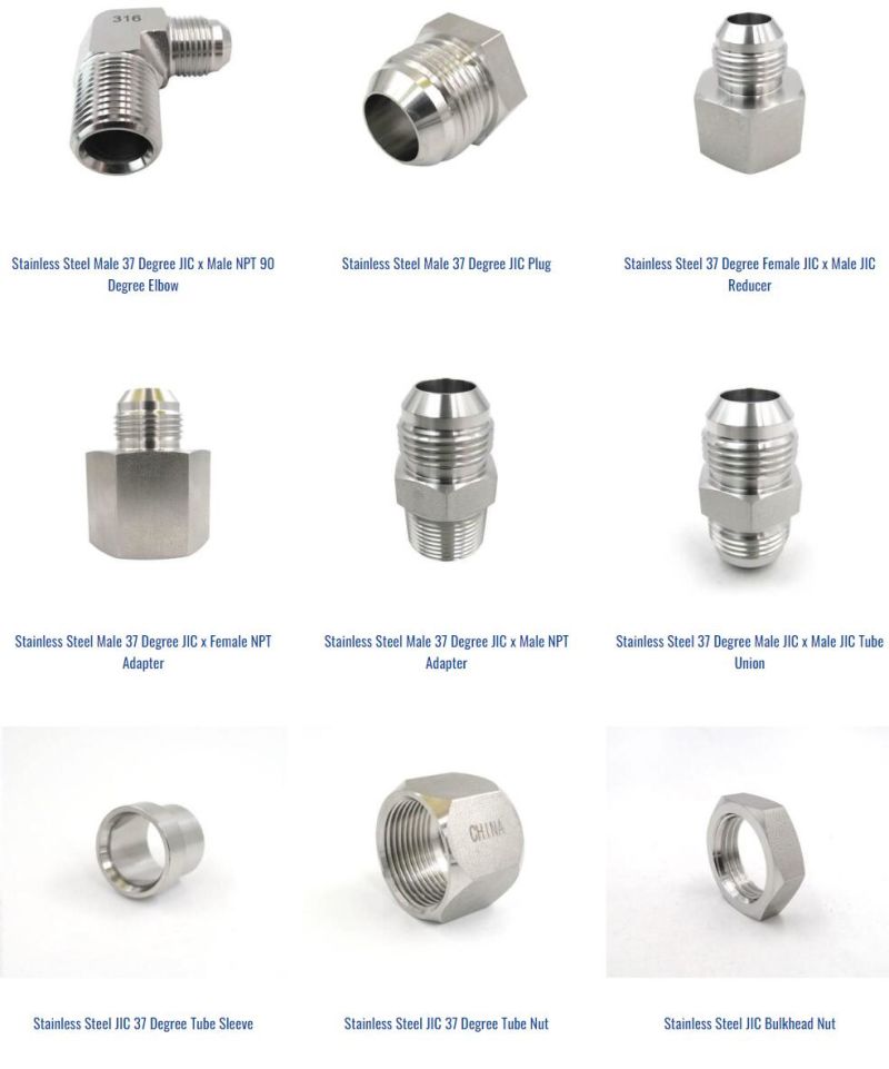 Stinless Steel O-Ring to Male Pipe Hydraulic Connector (SAE Standard)