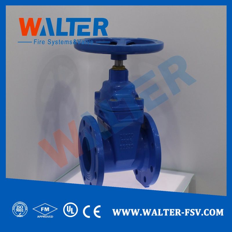 Cast Iron Flanged Resilient Seat Gate Valve