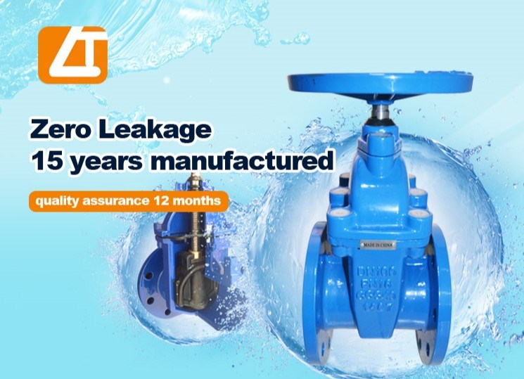 Manufacturers Ductile Iron Resilient Flanged Gate Valve