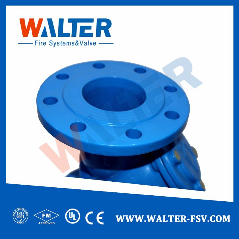 Cast Iron Y Type Flange Filter/Strainer Drain Valve