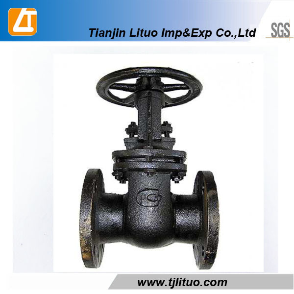 Spring Ductile Iron Cast Iron Good Quality Check Valve