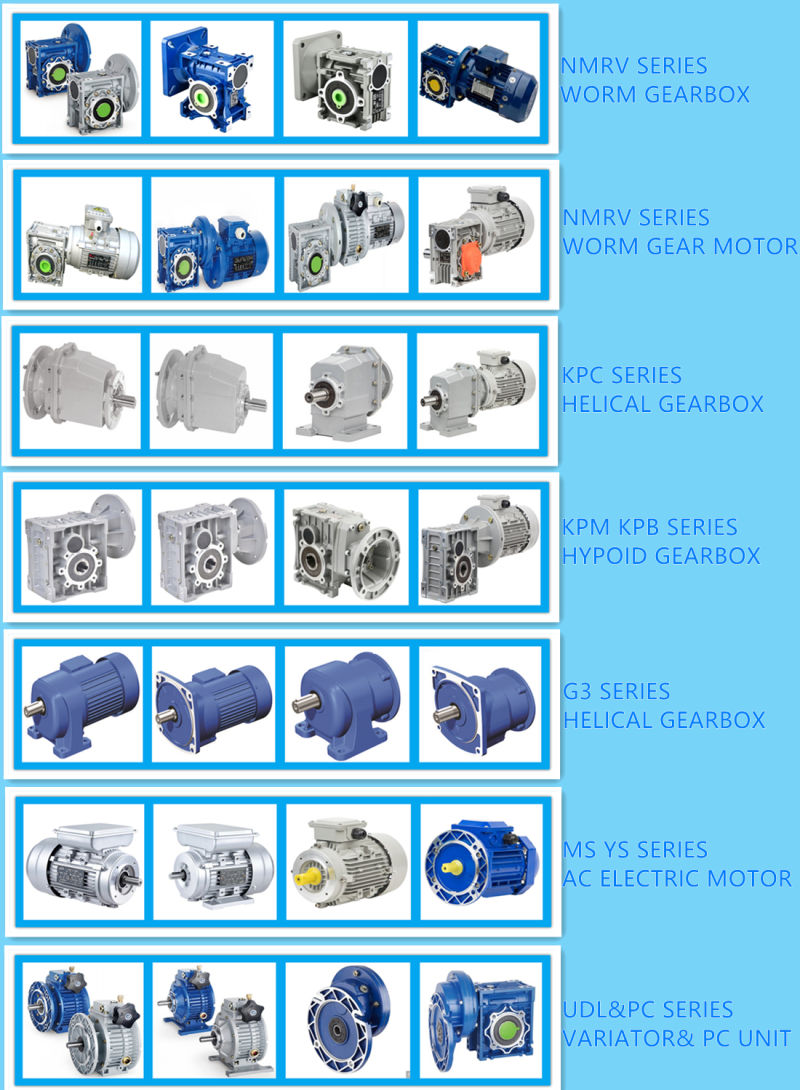 1. Nmrv110-130-150 Worm Gear Reducer with Cast Iron Body