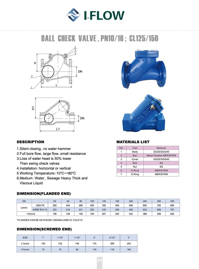 DIN DN80 Cast Iron/Ductile Iron Flanged Ends Ball Check Valve with Lifting