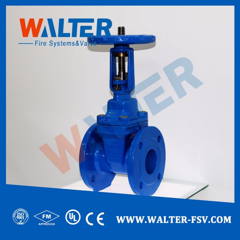 Cast Iron Flanged Resilient Seat Gate Valve