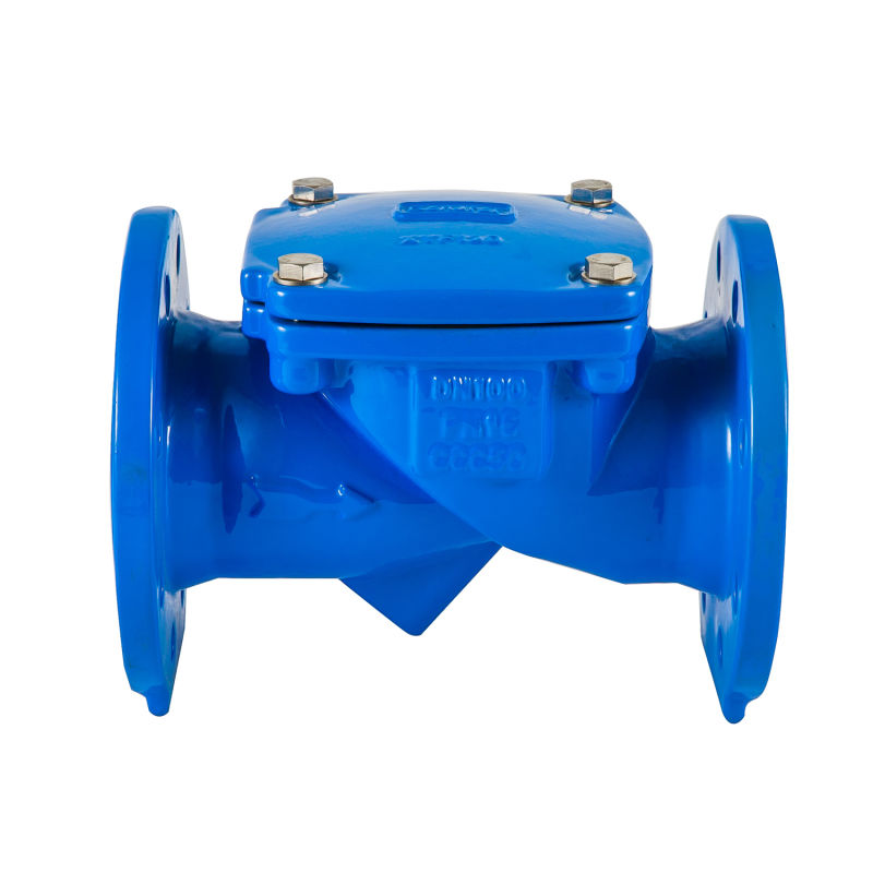 Leading Manufacturer of Industrial for Cast Iron Rubber Flap Check Valve