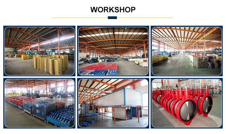 Cast Iron Lug Butterfly Valve Metal Seat Manufacturer