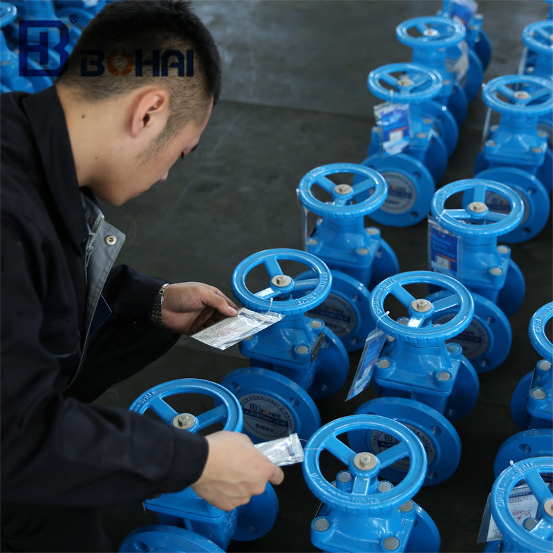 Cast Iron Slide Control Flange Gate Valve Manufacturer