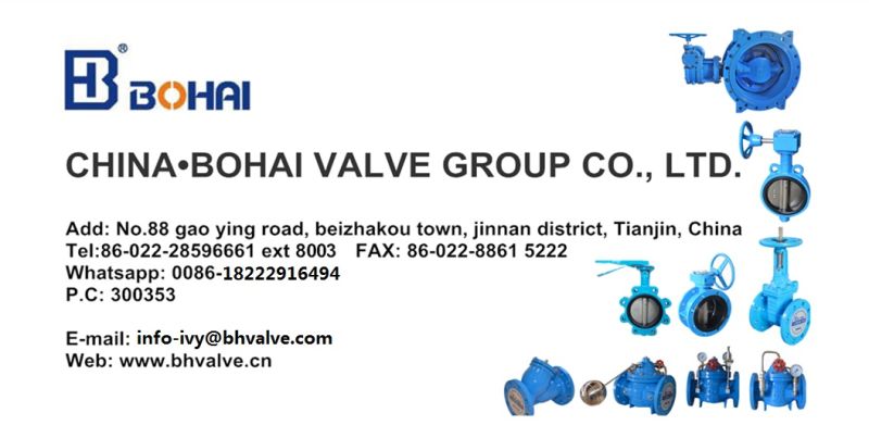 Ductile Iron or Ni-Plated Ductile Iron Disc Wafer Butterfly Valve