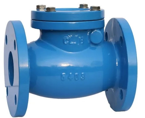 Cast Iron Flanged End 250lb Swing Check Valve