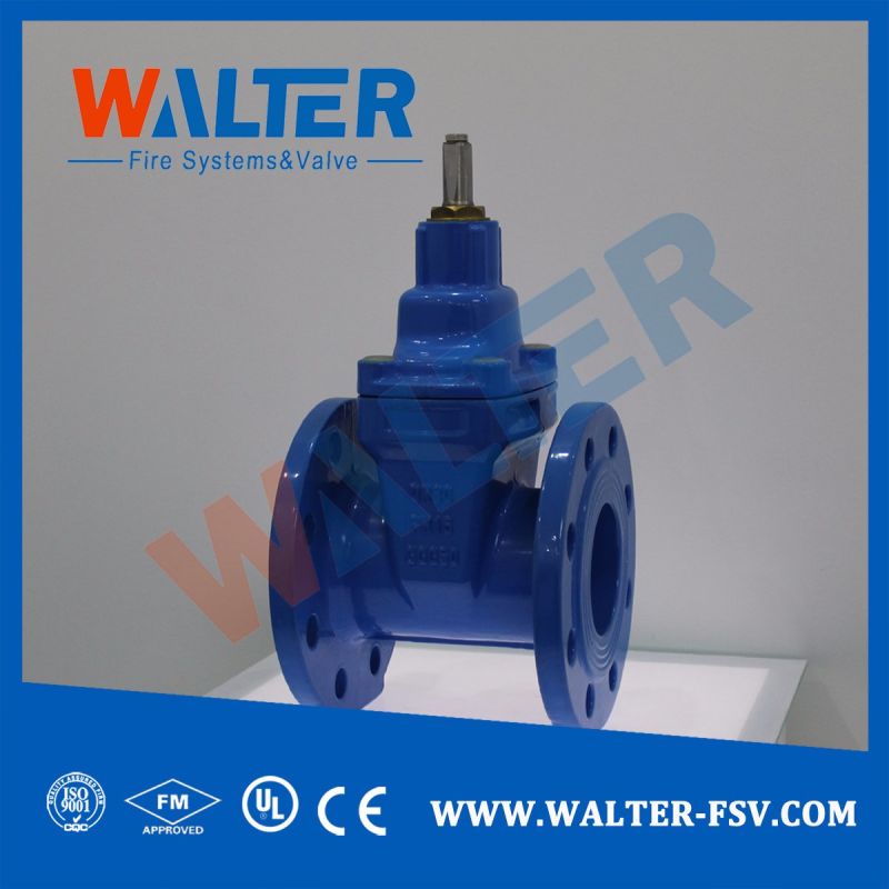 Cast Iron Flanged Gate Valve