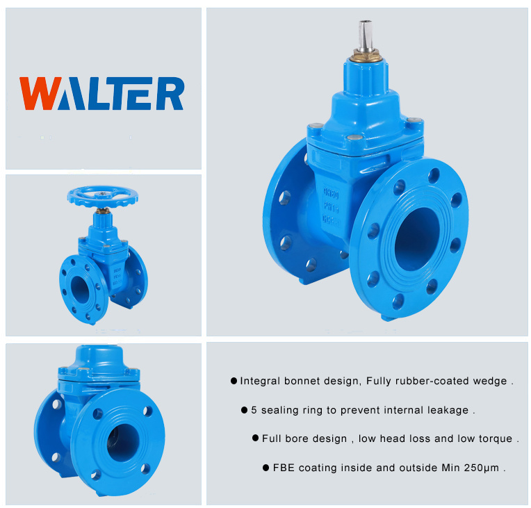 Ductile Iron Water Pipe 12 Inch Resilient Seated Valve Gate