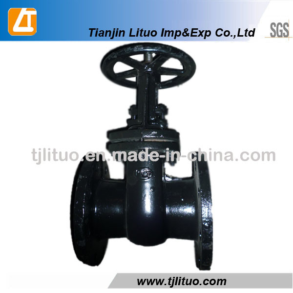 Spring Ductile Iron Cast Iron Good Quality Check Valve