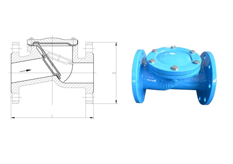 Ductile Iron Flanged Swing Check Valve