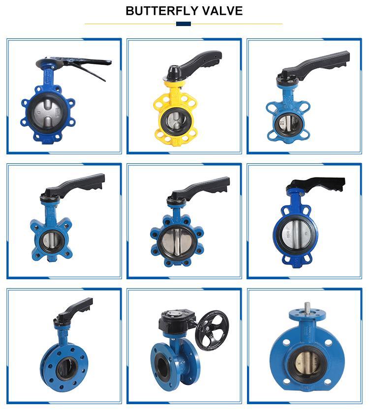 Cast Iron Lug Butterfly Valve Metal Seat Manufacturer