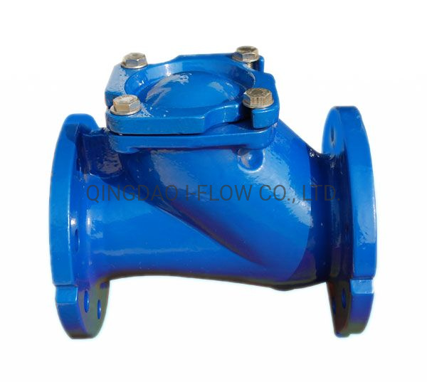 DIN DN80 Cast Iron/Ductile Iron Flanged Ends Ball Check Valve with Lifting