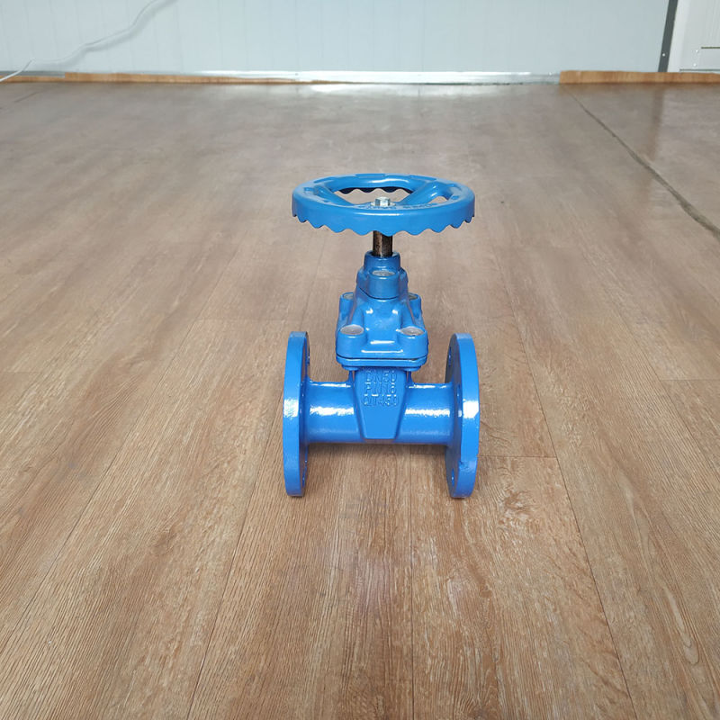 China Manufacturer En Standard Ce ISO Ggg50 Ductile Iron Soft Seat Flange Hand Wheel Manual 6 Inch Water Gate Valve