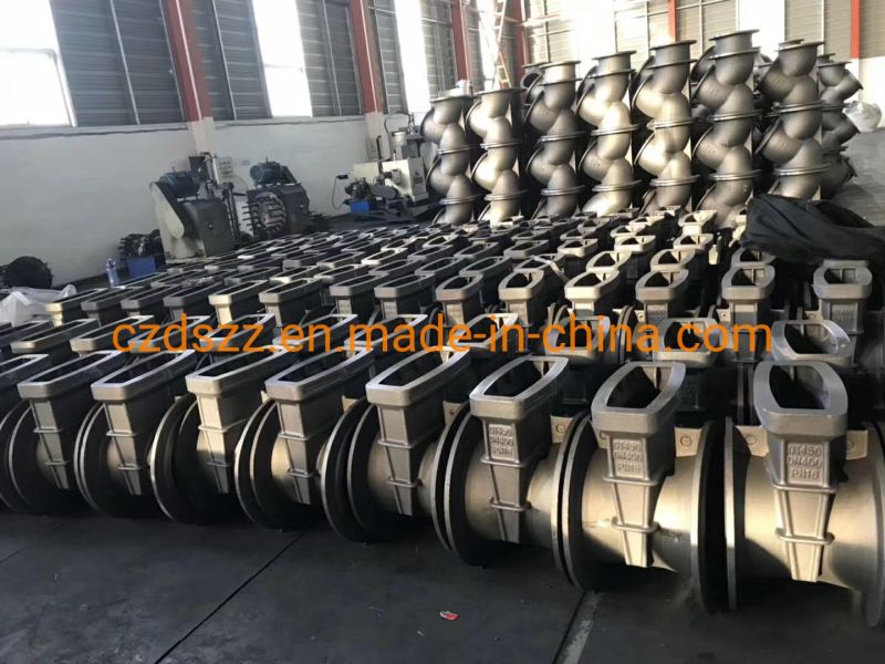 Gray Cast Iron Customized Water Pump Body Casting