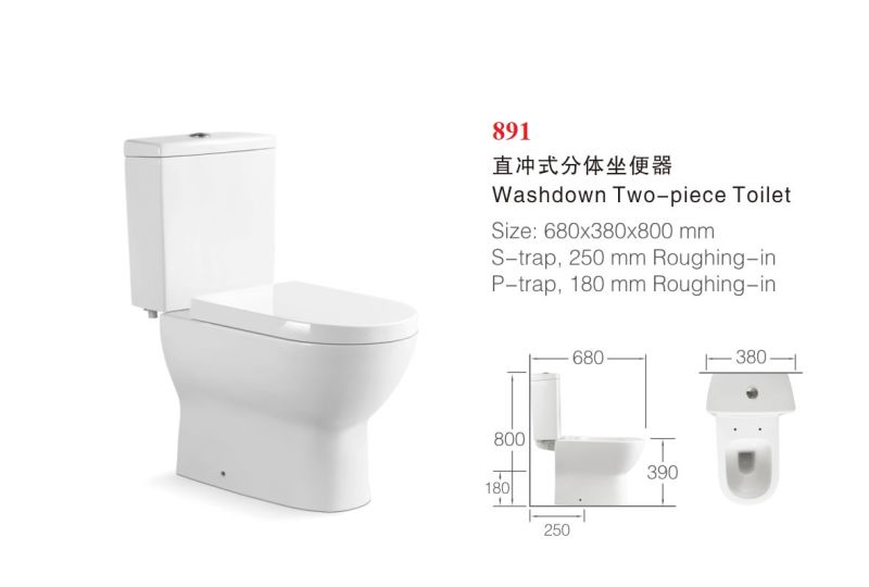 891 Washdown Two Piece Toilet with S Trap 250mm or P Trap 180mm