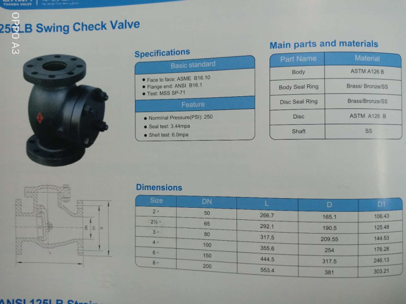 Cast Iron Flanged End 250lb Swing Check Valve