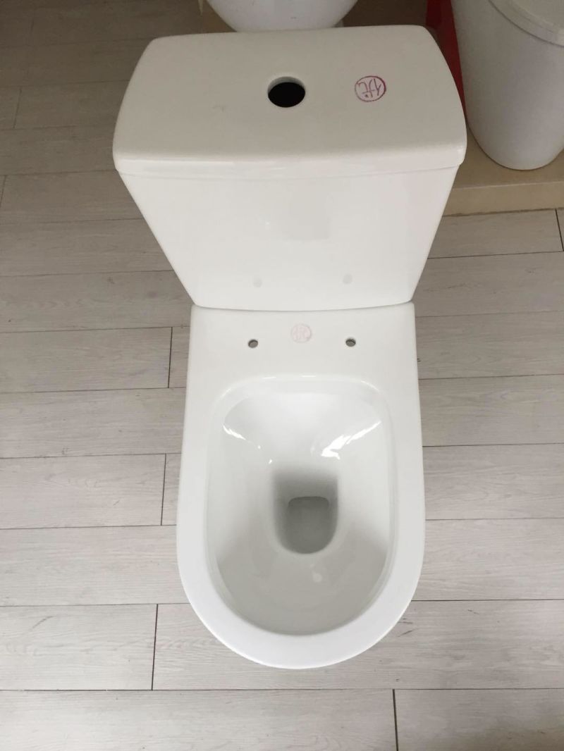 891 Washdown Two Piece Toilet with S Trap 250mm or P Trap 180mm