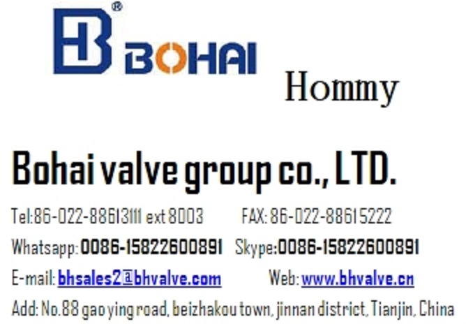 Ductile Cast Iron Directional Price Gate Valve