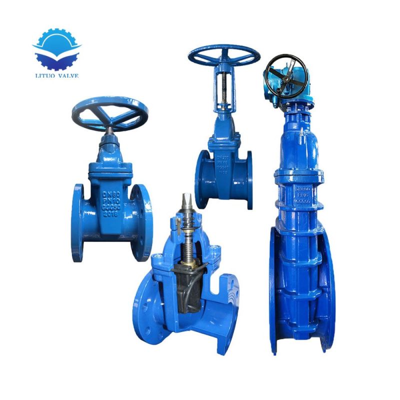 Manufacturers Ductile Iron Resilient Flanged Gate Valve