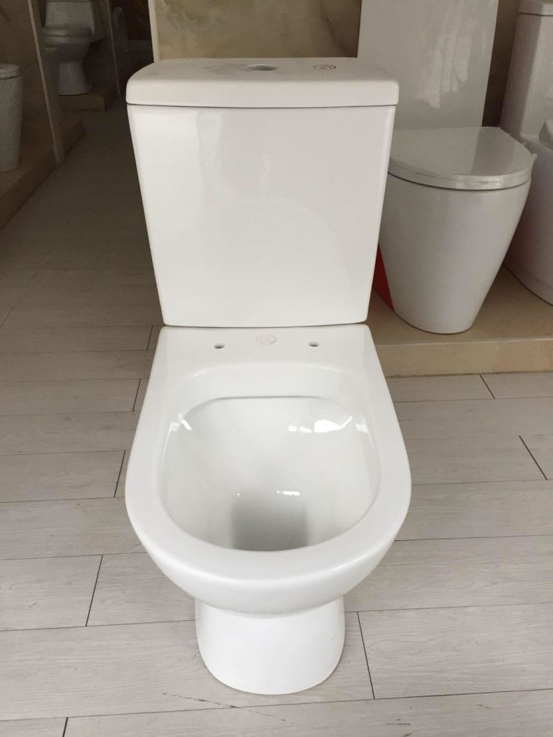 891 Washdown Two Piece Toilet with S Trap 250mm or P Trap 180mm