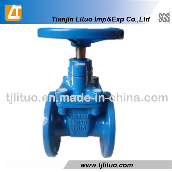 Spring Ductile Iron Cast Iron Good Quality Check Valve