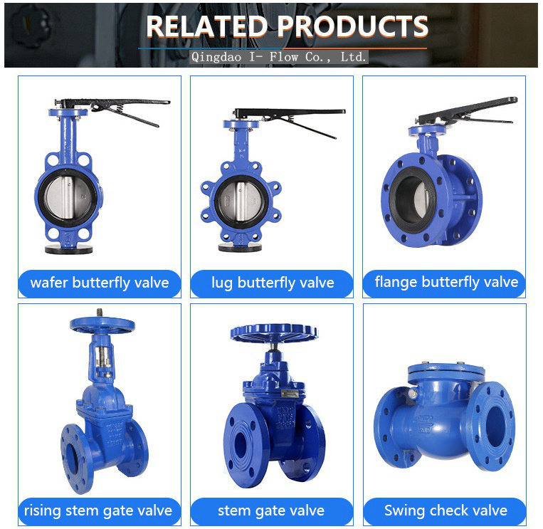 DIN DN80 Cast Iron/Ductile Iron Flanged Ends Ball Check Valve with Lifting