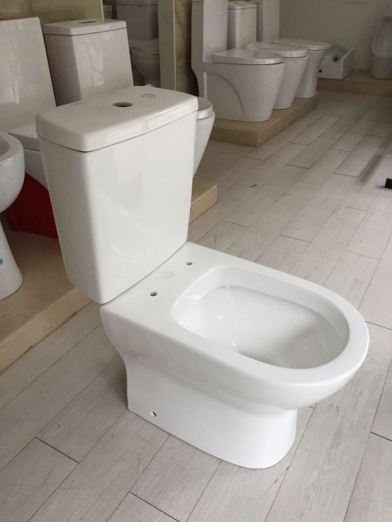 891 Washdown Two Piece Toilet with S Trap 250mm or P Trap 180mm