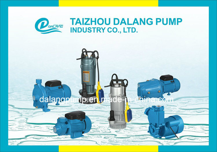 High Quality Cast Iron Sewage Pump with Cast Iron Impeller