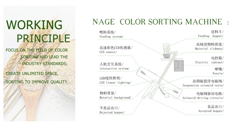 CCD Ricecolor Sorter Rice Color Selecting Machine for Grain
